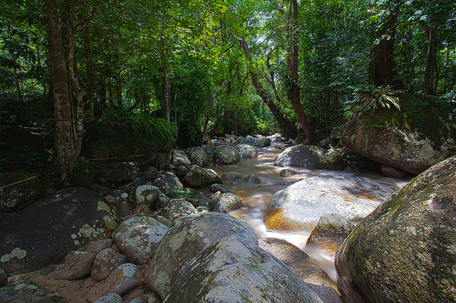 Rivers, streams, lakes and the earth's biomes