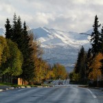“It’s Different Here” Maria D’Agostino on Alaskan Urban Forestry
