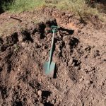 A New Method to Rehabilitate Damaged Soils
