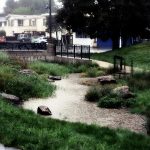 What Can I Do to Keep My Yard’s Rainwater Out of Streams?