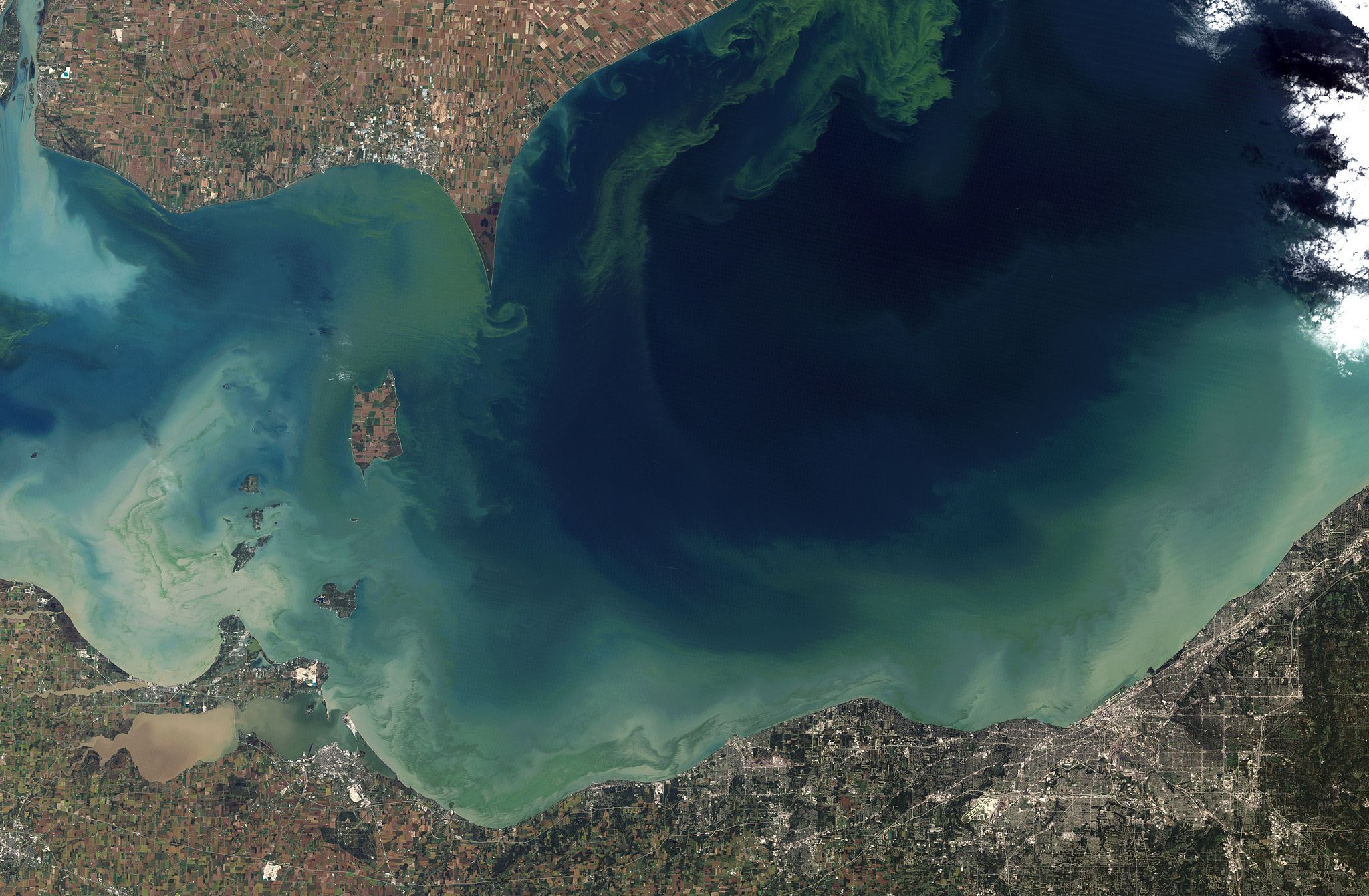 stopping water pollution in its tracks nitrogen phosphorous and