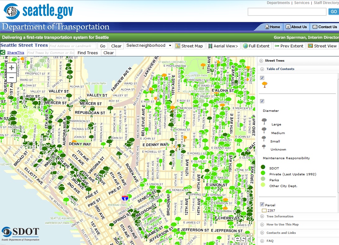 Trees and sidewalks A strategic approach to conflicts DeepRoot Blog