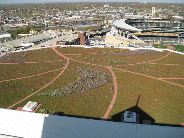 Target Center green roof