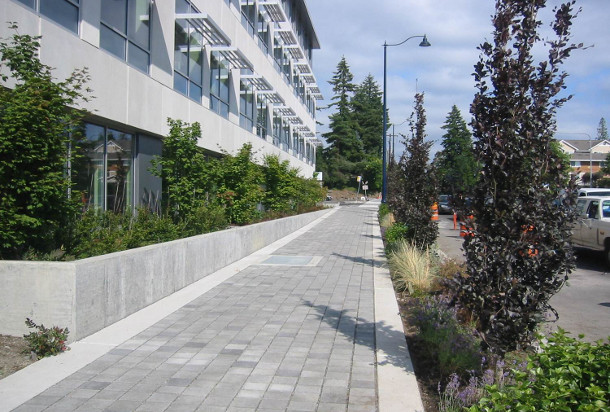 Permeable pavers were used over Silva Cells on a project along Aurora Avenue in Shoreline, WA. Image courtesy of Otak.