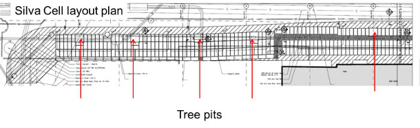 Silva Cell layout plan with tree pits
