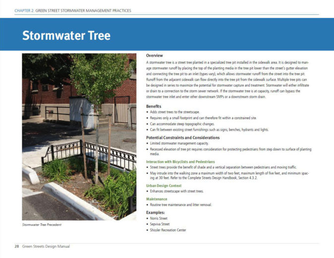 Philadelphia Stormwater Tree - 1