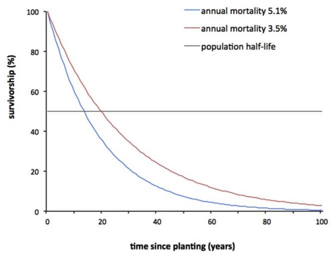 Survivorship curves with population half-life: Survivorship curves for street trees when annual mortality is constant at 5.1 or 3.5%, as estimated from a meta-analysis of previous studies, adapted from Roman and Scatena (2011). These curves depict exponential decay in cumulative survivorship. The population half-life is the time at which half the population has died (survivorship = 50%). Note that survivorship curves are often drawn in the demographic literature with log-transformation, but that this graph is not log-transformed for ease of interpretation. Courtesy of Lara Roman.
