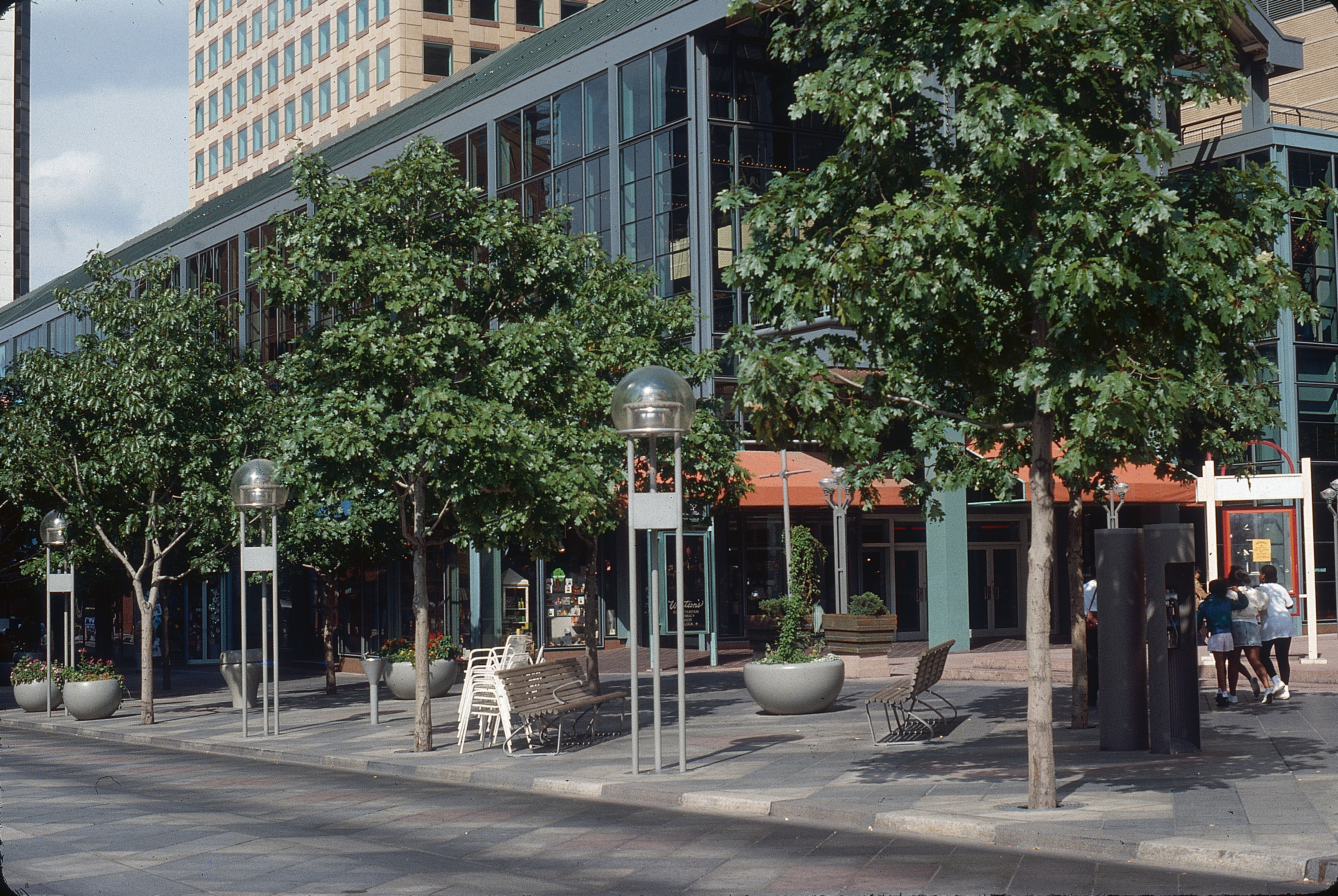 The 16th Street Mall trees in 1988. Photo credit: Tom Perry