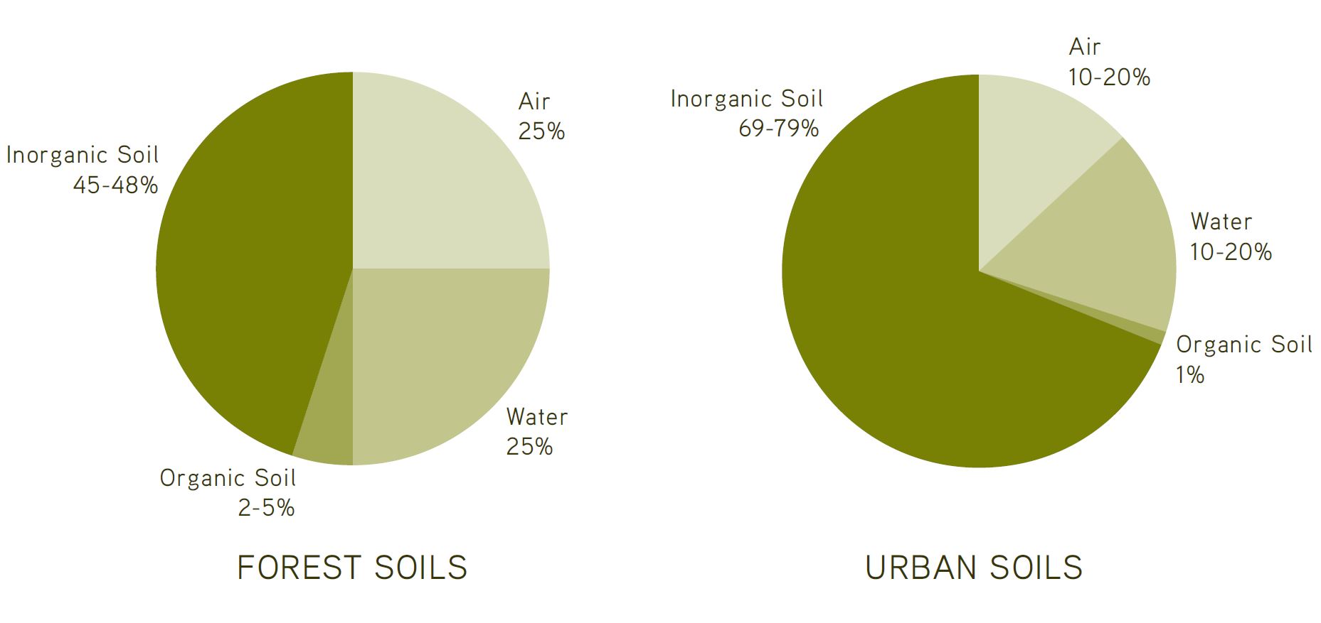 Forest Soil Versus Urban Soil 2014