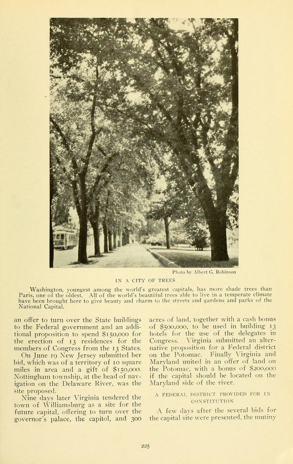 1915_NG_In a City of Trees