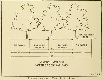 1916_Cox NYC_Third Row Typology