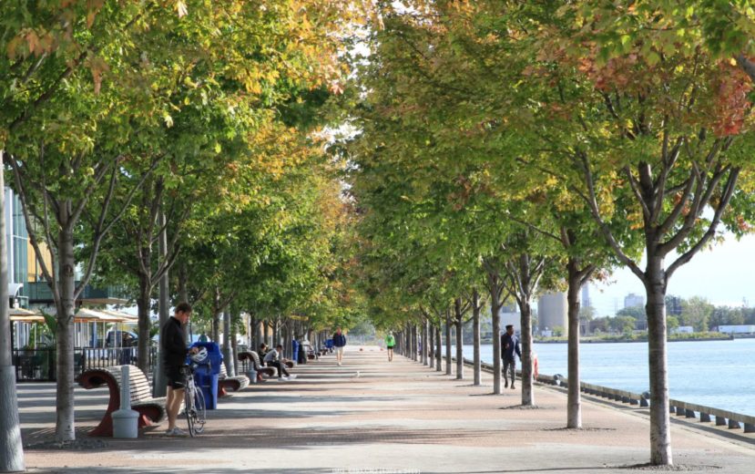Trees and public health_waterfront promenade