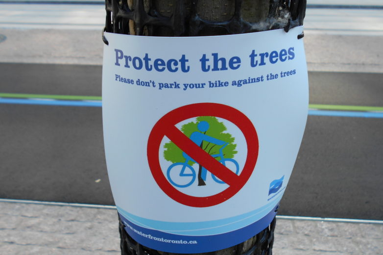 Queens Quay protect the trees