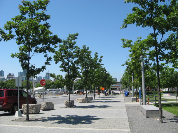 The trees at Sherbourne Common. Much improved, but not out of the woods.