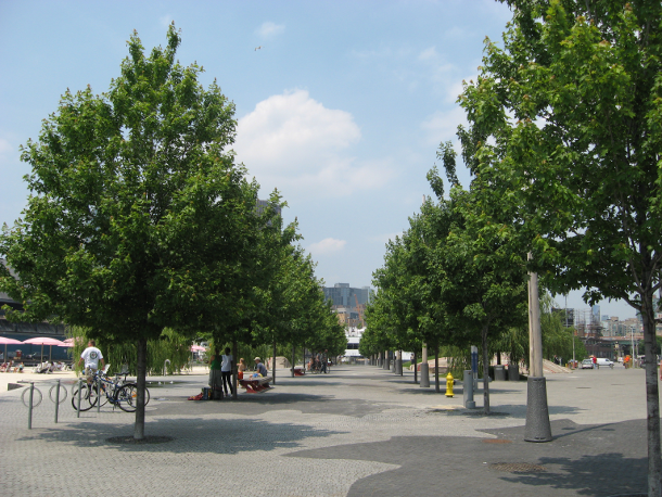 Sugar Beach trees in summer 2012.