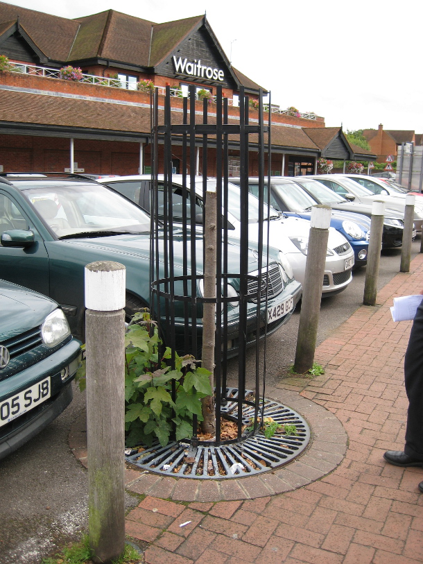 Three Trees in a Waitrose Car Park DeepRoot Blog