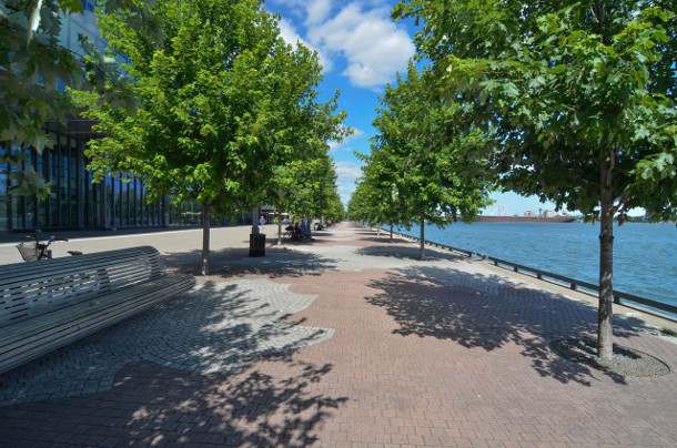 Water's Edge Promenade trees planted in Silva Cells. Photo from June 2013 (three growing seasons). Image: Claude Cormier + Associes.