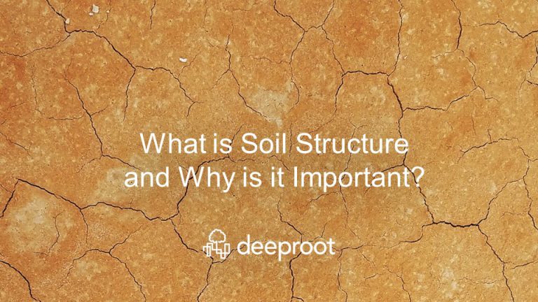 What Is Soil Structure And Why Is It Important DeepRoot Blog