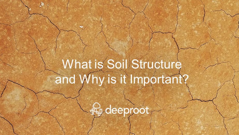 What Is Soil Structure And Why Is It Important Deeproot Blog My XXX