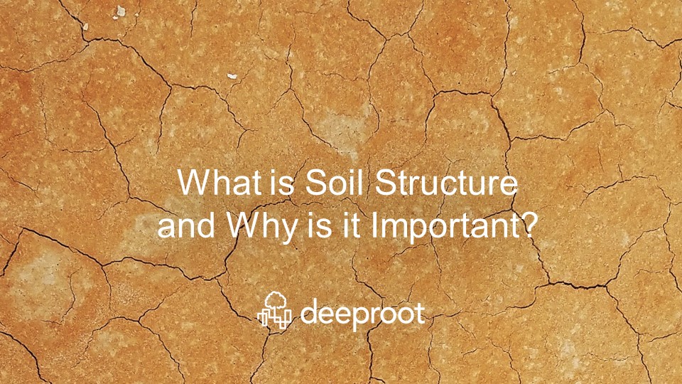 What is Soil Structure and Why is it Important? DeepRoot Blog