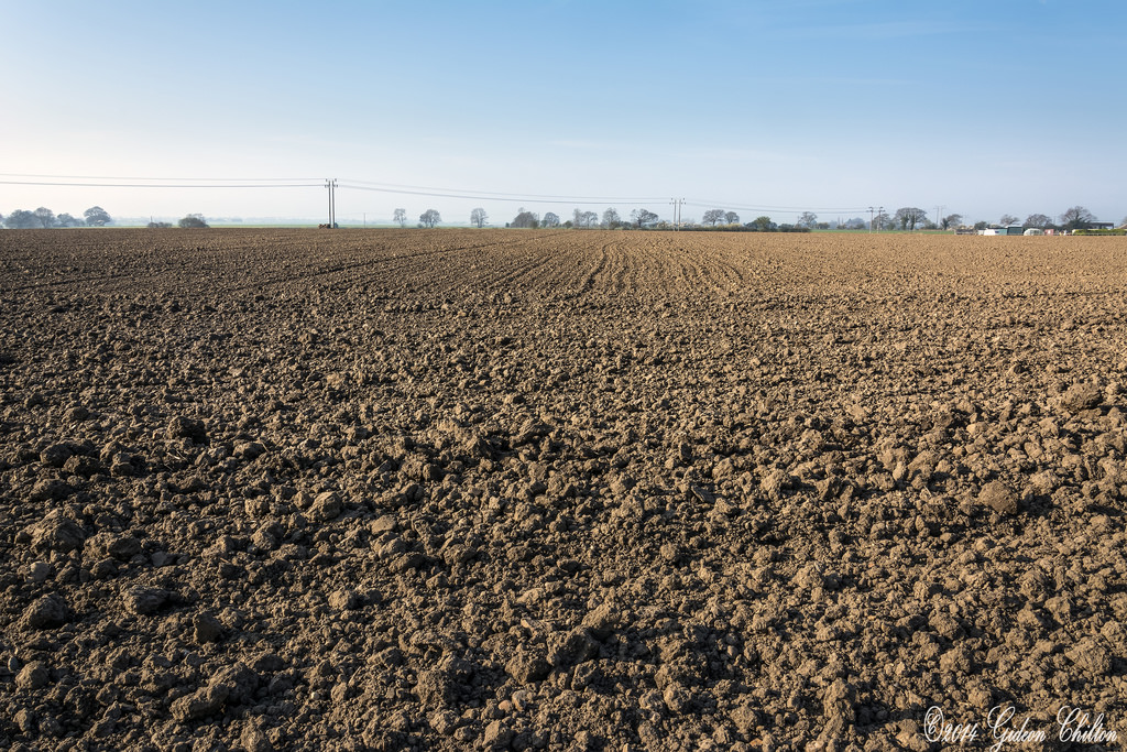 What’s Behind the “Fresh Earth” Smell in Spring? DeepRoot Blog