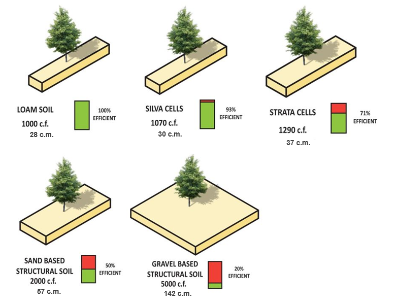Which Planting Solution is Best for Trees? Bartlett Lab Field Trials ...