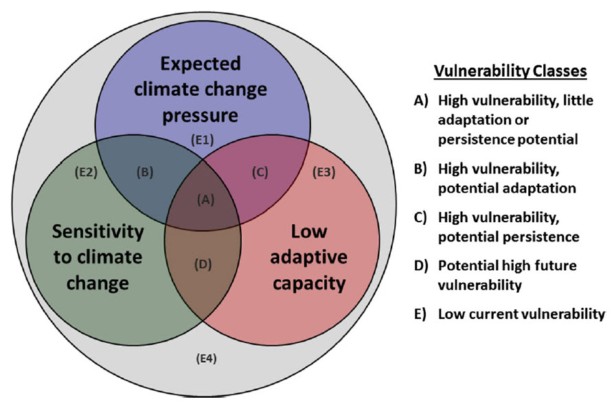 Which Trees Will We Lose First? Trees Most Vulnerable to Climate Change