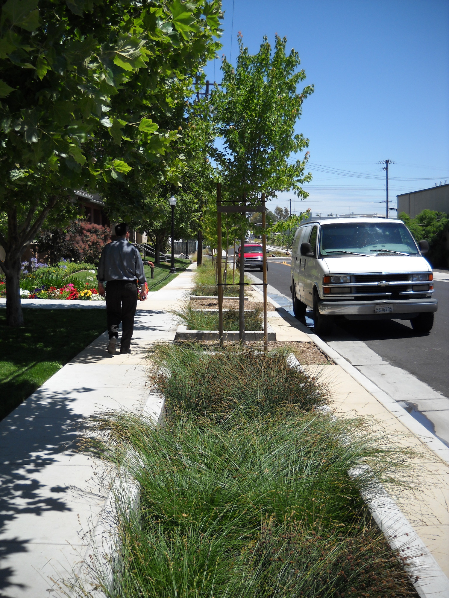 Planning For Successful Street Trees In Arid Climates Deeproot Blog Poor Drainage Compaction Or Other Detrimental Surface Conditions Can Be Common In Urban Soils Particularly Arid Climates