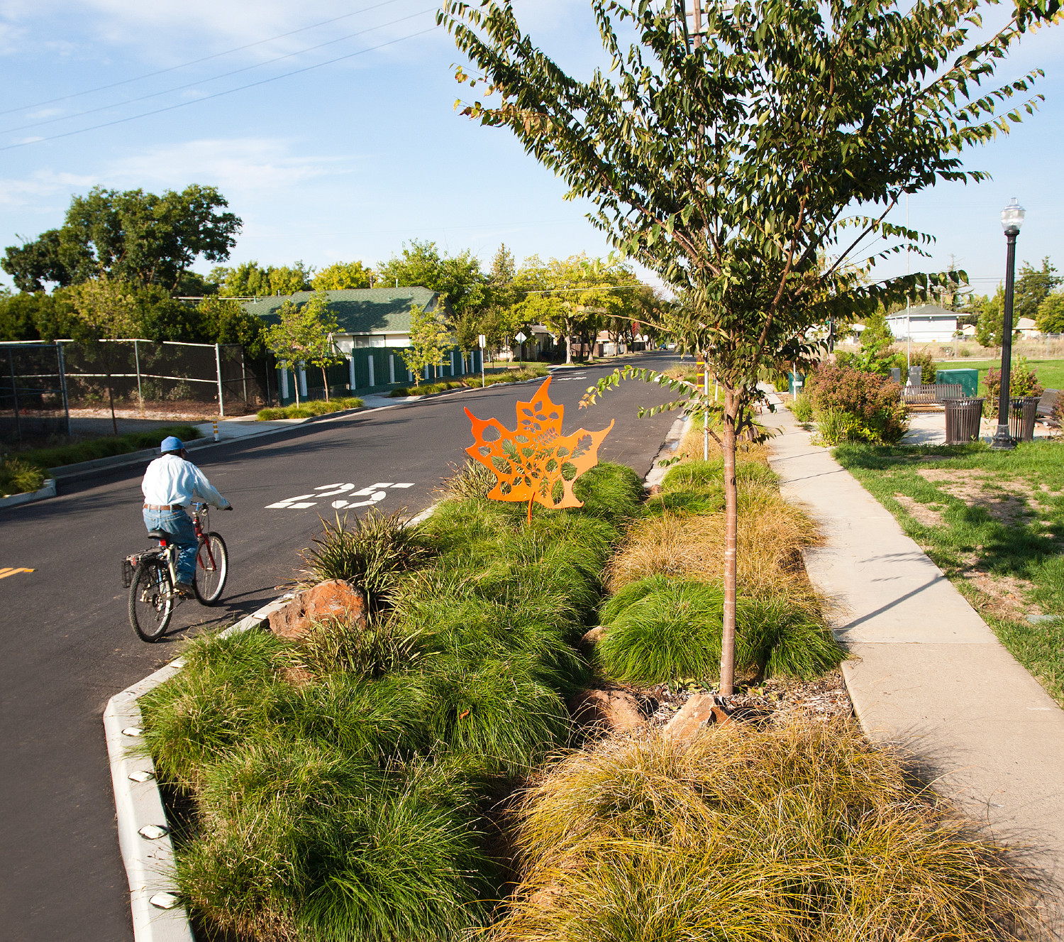 Planning For Successful Street Trees In Arid Climates Deeproot Blog Planning For Successful Street Trees In Arid Climates