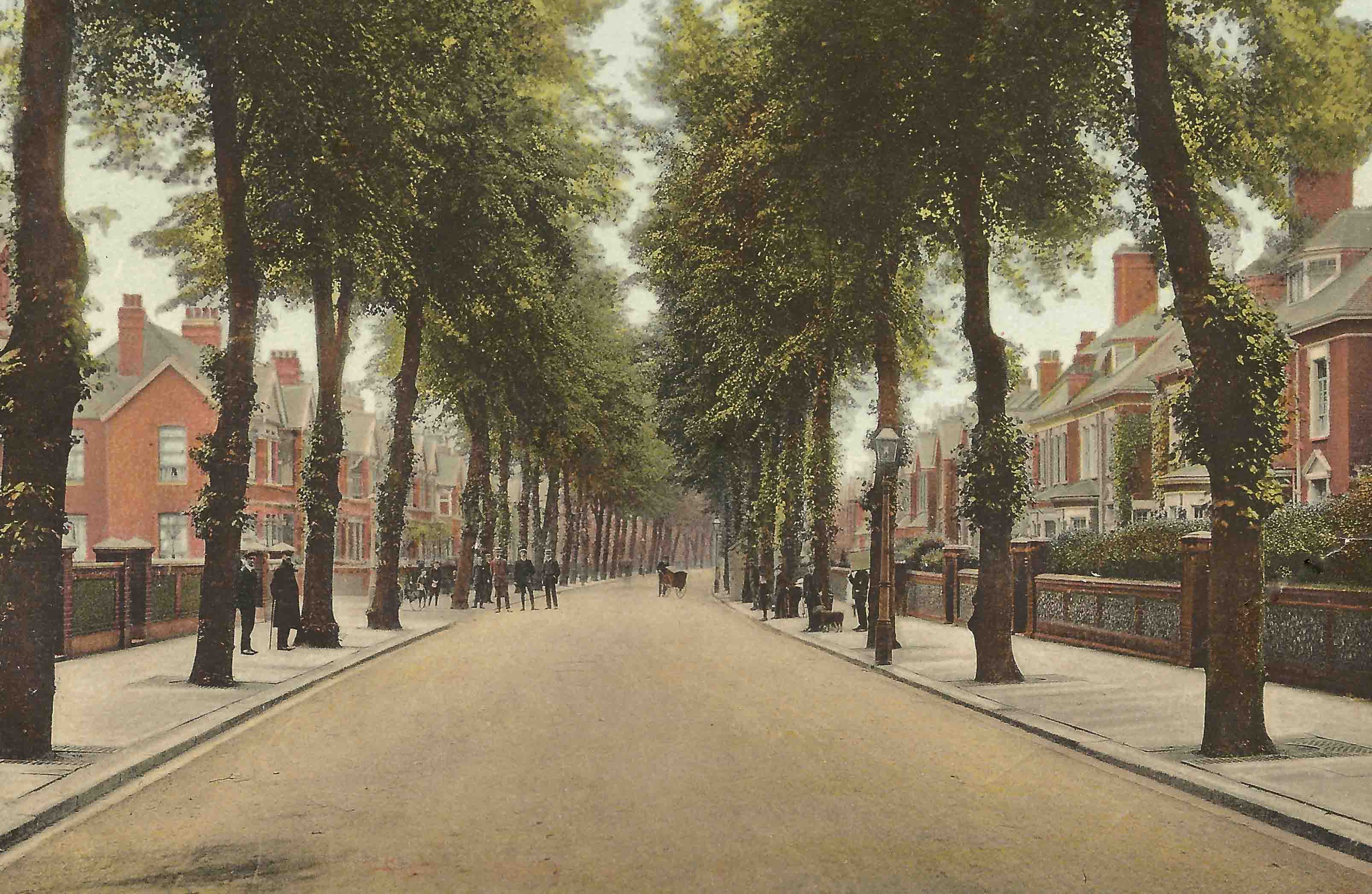 Street Trees in Britain, A History Interview with Mark Johnston