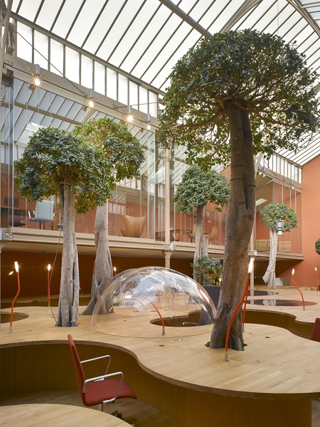 So A Tree Walks Into An Office... | DeepRoot Blog