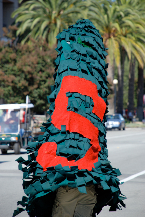 stanford tree football