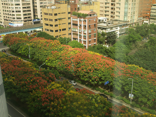 how trees aid with removing dissolved nutrients