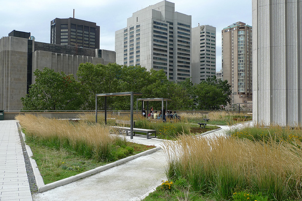 Green roof - Toronto