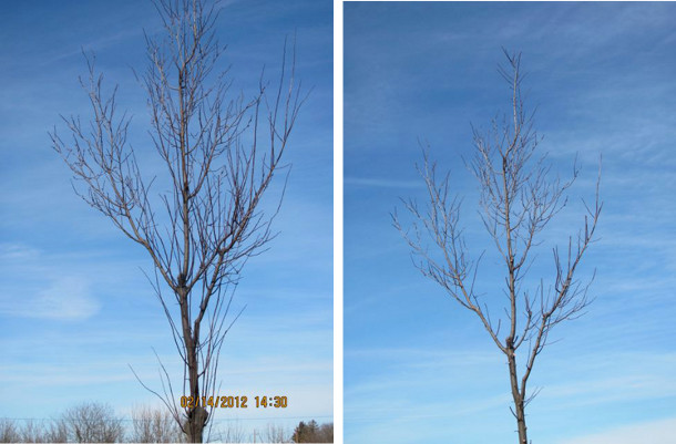 Structural pruning's effect years later!
