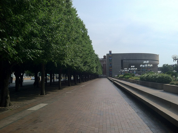 The trees at the Christian Science Center in Boston are planted in the oldest suspended pavement system in the US that we are aware of. Flickr credit: izzointer