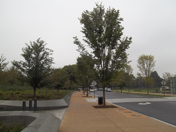 Martin Luther King, Jr. Memorial Trees