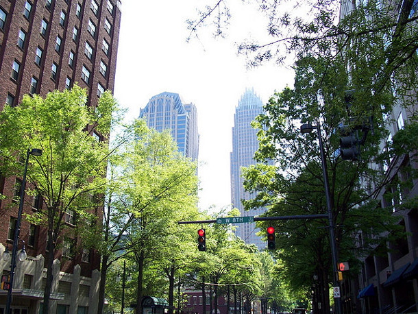 Street trees in Charlotte, NC. Flickr credit: Willamor media