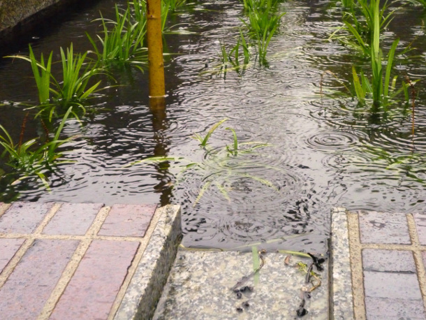 Stormwater finds its way to areas outside of the street into planters as seen here.  In order to bring water into these areas, the adjacent curb is removed and replaced with an inlet – the curb-cut – seen in granite above.  This curb-cut directs and accepts water into these areas at lower levels of flow as it moves along the gutter. At higher levels when standing water in the planter will not allow any more water to enter, the flow along the curb bypasses the  curb-cut and continues downstream. Photo Source: The Intertwine