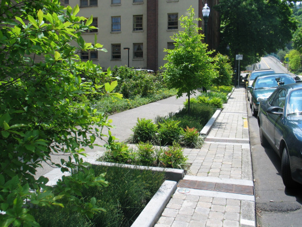 Stormwater finds its way to areas outside of the street into planters as seen here. In order to bring water into these areas, the adjacent curb is removed and replaced with an inlet – the curb-cut – seen in granite above. This curb-cut directs and accepts water into these areas at lower levels of flow as it moves along the gutter. At higher levels when standing water in the planter will not allow any more water to enter, the flow along the curb bypasses the curb-cut and continues downstream. Photo Source: The Intertwine