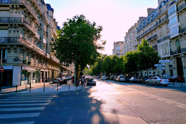 Tree-lined street in Paris. Image: zoetnet