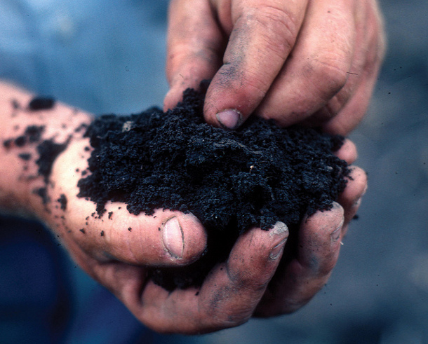 Alex Shigo said "touch trees." In addition to that, I saw say "touch soil." Flickr credit: NRCS Soil Health