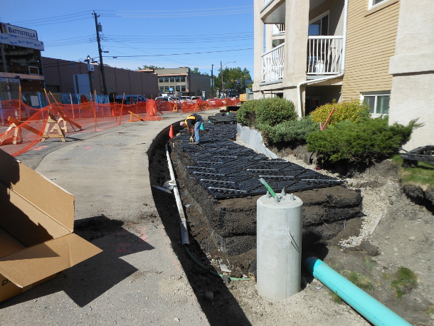 Silva Cells (soil cells) in Calgary, AB