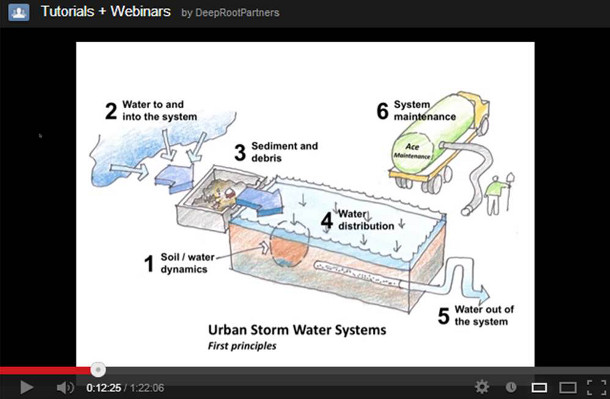 Webinar - Using trees and soils to manage stormwater