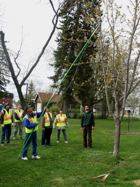 Citizen pruners