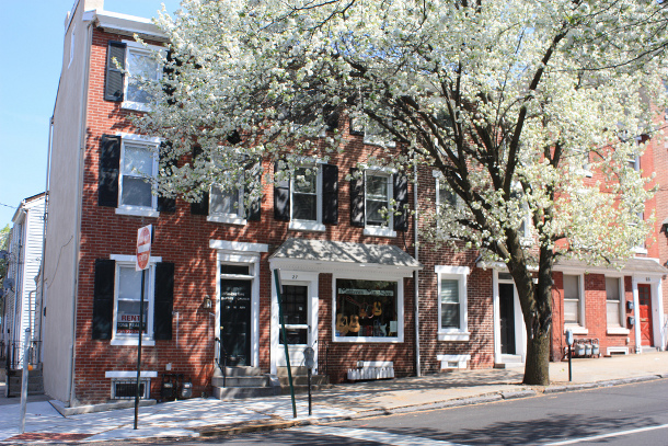 Montgomery County street tree