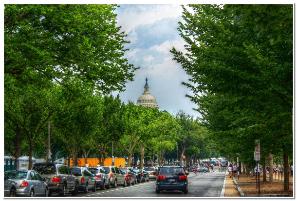 Washington D.C. street with the Capitol in the background. Flickr credit: Hari_Menon