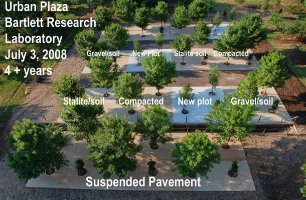Image courtesy of Dr. Tom Smiley.