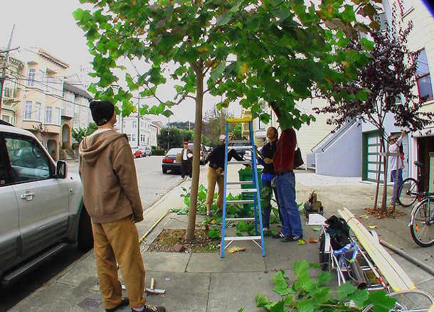 Flickr credit: Friends of the Urban Forest
