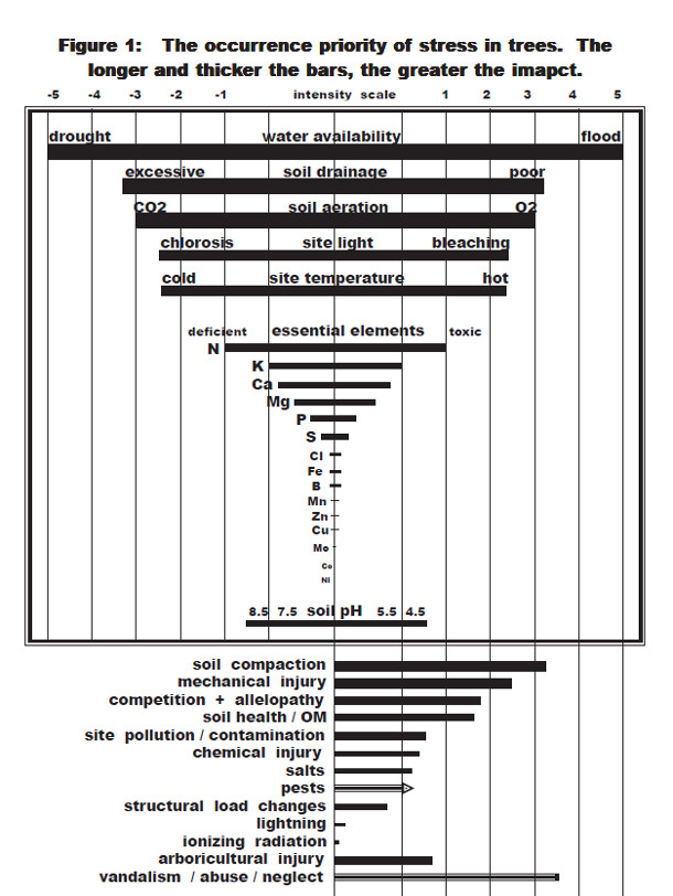 Figure 1: The occurrence priority of trees in trees. The longer and thicker the bars, the greater the impact.